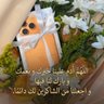 🇸🇦🤍 profil fotoğrafı