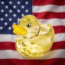 Profilbild von Shimmery Duck 🇺🇸