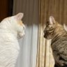 otsuka profil fotoÄrafı