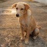 Mopidopee's profile picture