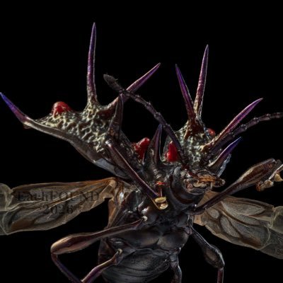 yaowu25's profile picture