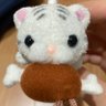 粉みかん 的头像