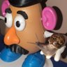 Potato Snail 🥔🐌's profile picture