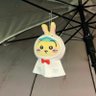 清影's profile picture