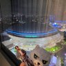 Фото профиля 玉ヨセØ💛💛💙