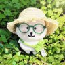 Profilbild von 仲夏雨