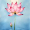 Фото профиля 🪷نیلوفر آبی🪷