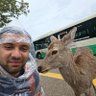Vijay Shankar's profile picture