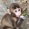 Vloveanna profil fotoğrafı
