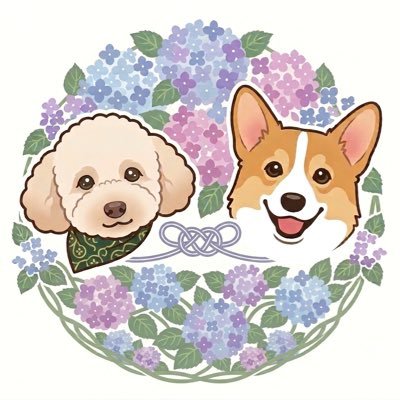 kota_hina0518's profile picture