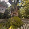 Фото профиля ぱおぱお