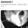 Profilbild von 啥呀