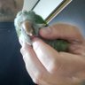 あいざわはじめ profil fotoğrafı
