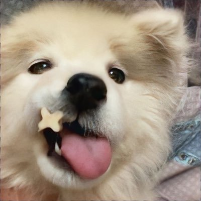 mieverly's profile picture