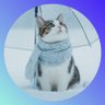 花-hana-🍃's profile picture