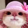 Profilbild von Ege