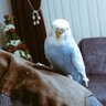 Profilbild von Bargıra N