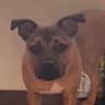 Salina Hunter Sappora's profile picture