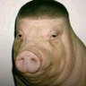 ForgottenMuppet's profile picture
