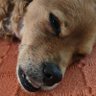 Julio Moreno's profile picture