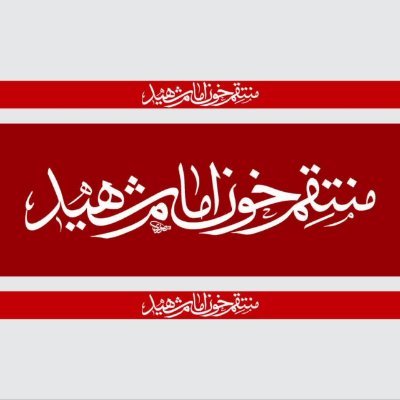 aligholami2024's profile picture