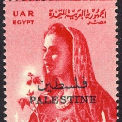 حرة 𓂆🔻's profile picture