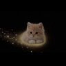 𝓼𝔂𝓮𝓭𝓪 profil fotoğrafı
