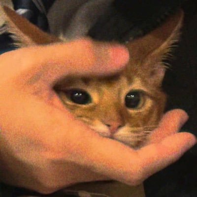 구뭉's profile picture
