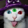 •☽ 𝕸𝖔𝖔𝖓𝖇𝖑𝖆𝖉𝖊 ☾•'s profile picture