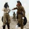 Profilbild von Valiant_Courser
