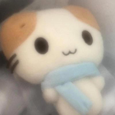 우니's profile picture