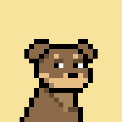 Doginal Dogs's profile picture