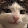 srynrkk's profile picture