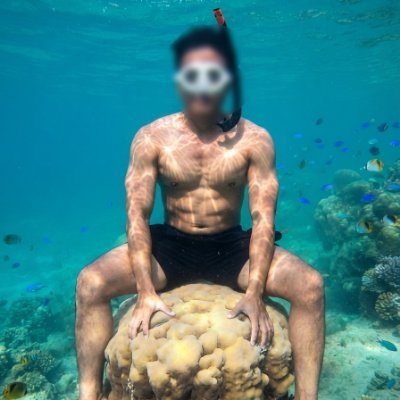 Tara_Araf's profile picture