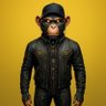 Фото профиля Last Monkey