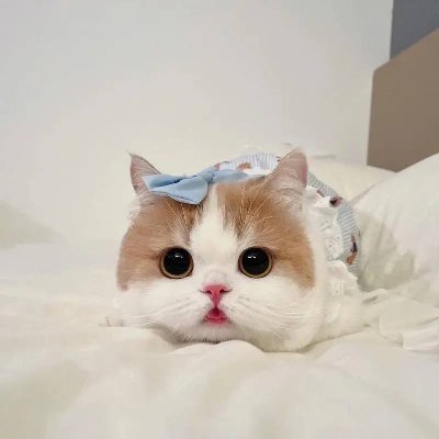 Yasmin_Aime's profile picture