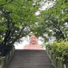 Profilbild von ココナッツアイランド