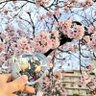 くろみつ⚓️🌽🎀🐾🌳 的头像