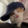 mx4e's profile picture