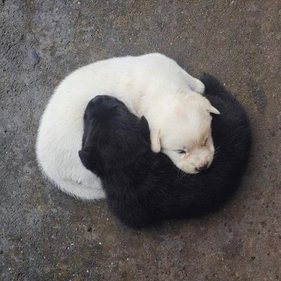 stwrawrbewry's profile picture