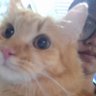 iam_ILLA02 profil fotoğrafı