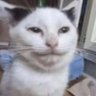 ScottyP's profile picture