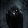 Фото профиля Roberto Valdivieso