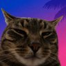 Bokya's profile picture