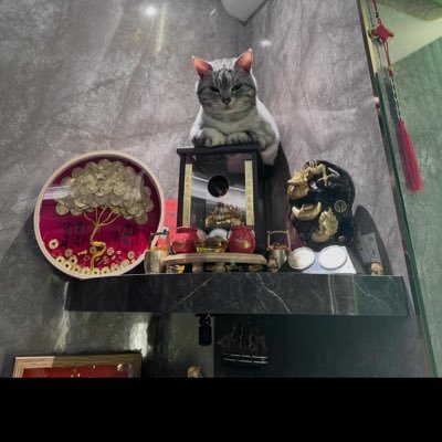 小小帥's profile picture