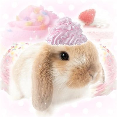 sophia's profile picture