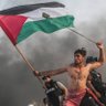 Profilbild von FIONA SHAW 🌱 🇵🇸 🇮🇷💙#BDS #pwME #Pigoneer