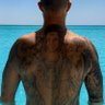 TɅ ⊥v's profile picture