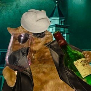 ʏᴀɴɪ༄ 🥷🏻:🤍)'s profile picture