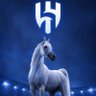كاريزما الهلال 💪🏻💙🤍👑's profile picture